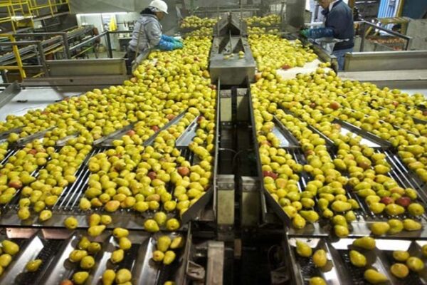 Government support for renewable energy and sustainability in the food processing industry: Read the full news.