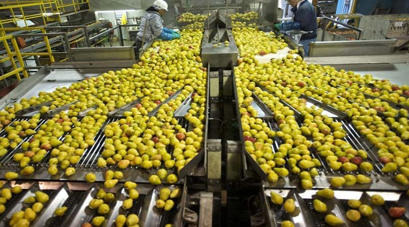 Government support for renewable energy and sustainability in the food processing industry: Read the full news.