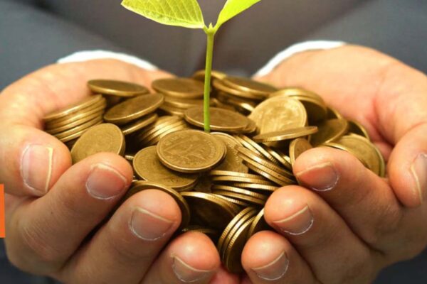 From seed funding to a capital fund of ₹100 crore, startups will receive significant support.