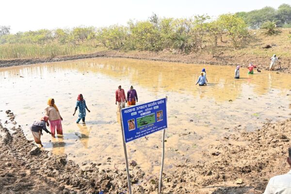 Women of Dhamtari district are becoming self-reliant through self-help groups.