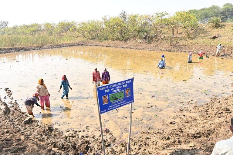 Women of Dhamtari district are becoming self-reliant through self-help groups.