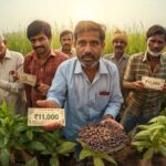 Chhattisgarh government's Krishak Unnati Yojana is giving farmers the value of their hard work even before their sweat dries.