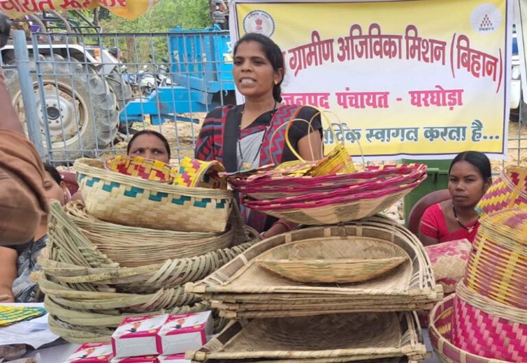 आत्मनिर्भरता की मिसाल बनीं ग्रामीण महिलाएं, गृह उद्योग और हस्तशिल्प से संवर रहा भविष्य